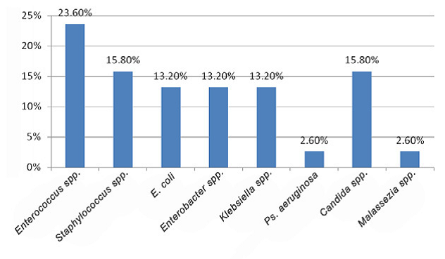 epidemiology of antimicrobial